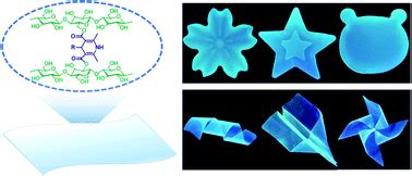  ディアセティルセルロース：高強度・高透明性を実現するバイオベースの未来材料！