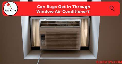 Can Bugs Come In Through Window Air Conditioner?