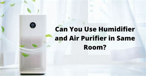 Can I Have An Air Purifier And A Humidifier In The Same Room?