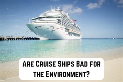 is back of cruise ship bad