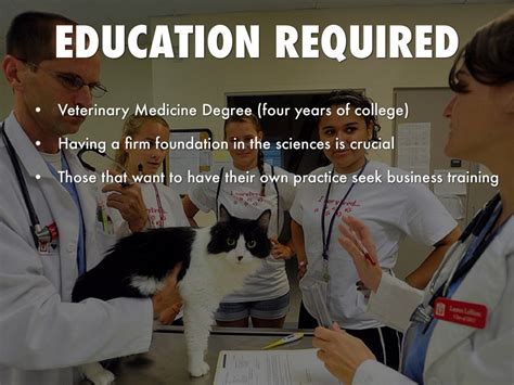 What Education or Training Is Required to Be a Veterinarian?