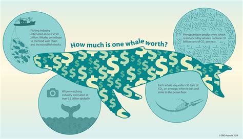 세계 gdp, 고래가 춤추면 바다가 넘친다